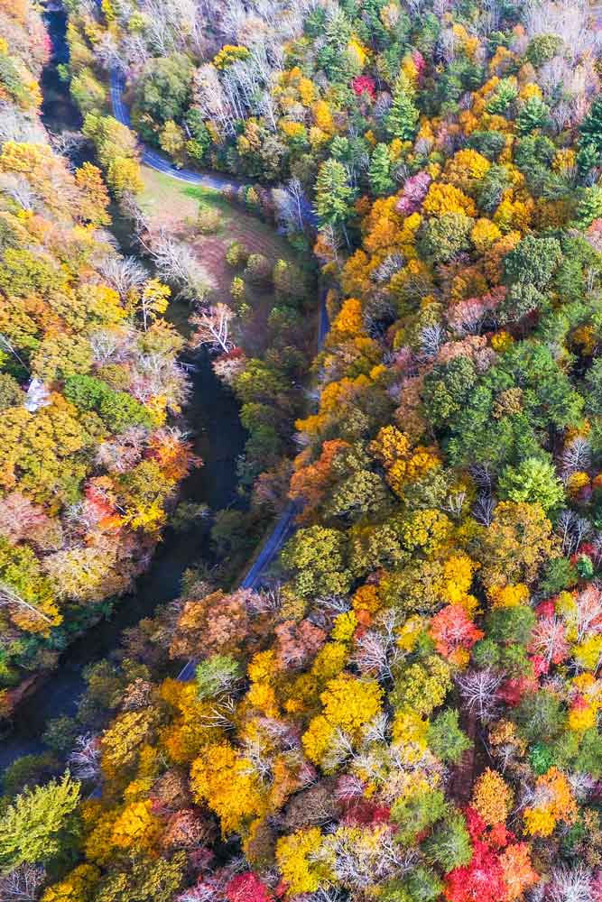Riverbend fall leaves